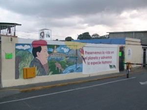 Chavez in environmental context at Cuartel del Montana